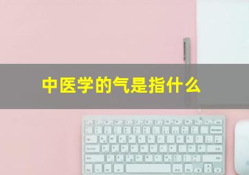 中医学的气是指什么