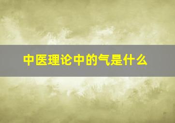 中医理论中的气是什么