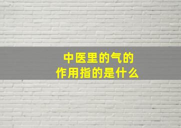 中医里的气的作用指的是什么