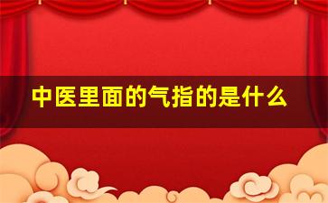 中医里面的气指的是什么