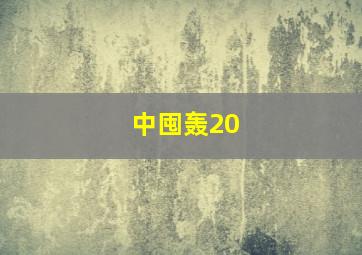 中囤轰20