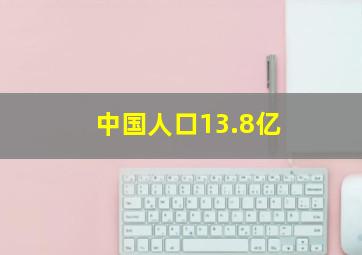 中国人口13.8亿