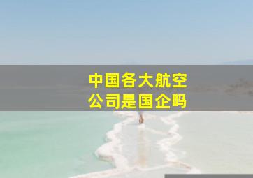 中国各大航空公司是国企吗