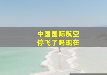 中国国际航空停飞了吗现在