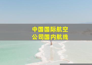 中国国际航空公司国内航线