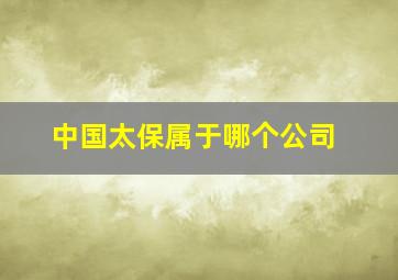 中国太保属于哪个公司