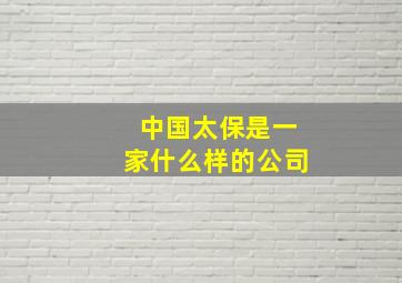 中国太保是一家什么样的公司