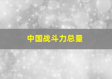 中国战斗力总量