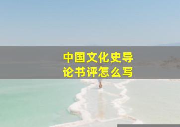 中国文化史导论书评怎么写