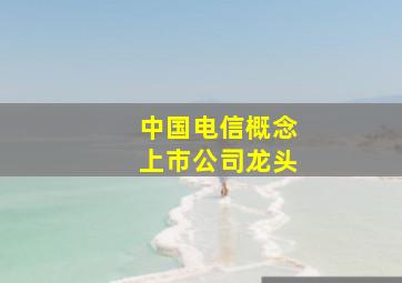 中国电信概念上市公司龙头