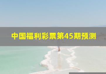 中国福利彩票第45期预测