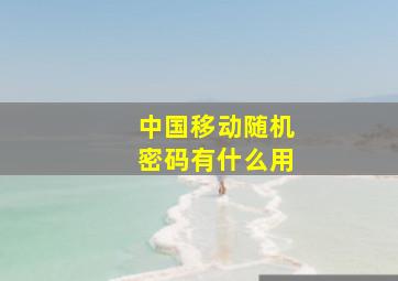 中国移动随机密码有什么用