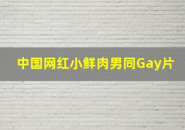 中国网红小鲜肉男同Gay片