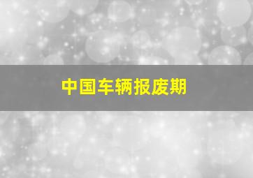 中国车辆报废期