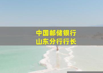 中国邮储银行山东分行行长