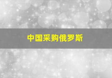 中国采购俄罗斯