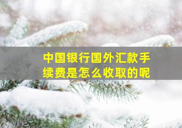 中国银行国外汇款手续费是怎么收取的呢