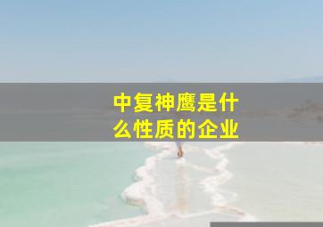 中复神鹰是什么性质的企业