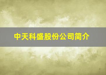 中天科盛股份公司简介