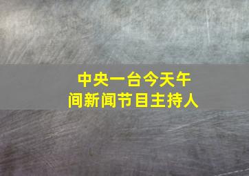 中央一台今天午间新闻节目主持人