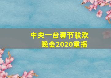 中央一台春节联欢晚会2020重播