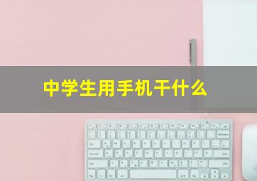 中学生用手机干什么