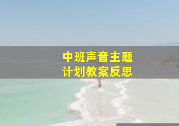 中班声音主题计划教案反思