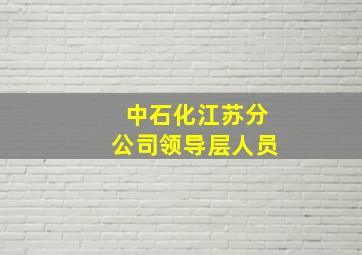 中石化江苏分公司领导层人员