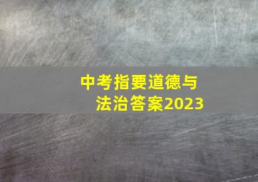 中考指要道德与法治答案2023