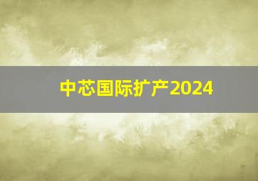 中芯国际扩产2024