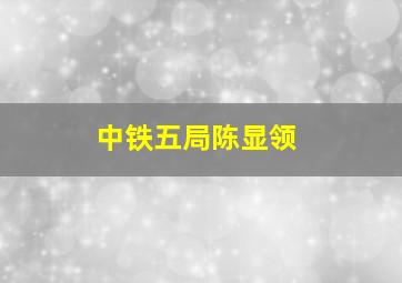 中铁五局陈显领