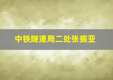 中铁隧道局二处张振亚