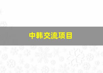 中韩交流项目