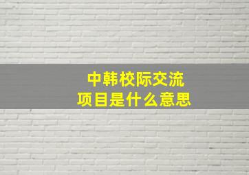 中韩校际交流项目是什么意思