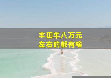 丰田车八万元左右的都有啥