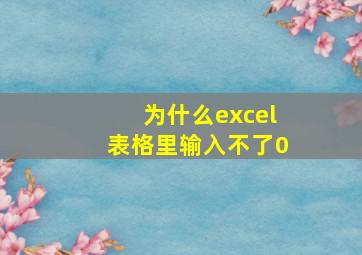 为什么excel表格里输入不了0