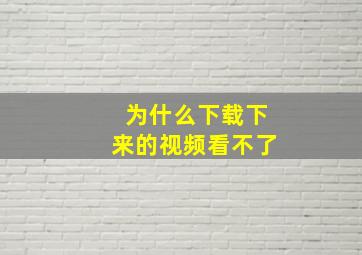 为什么下载下来的视频看不了