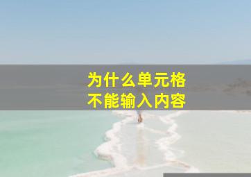 为什么单元格不能输入内容