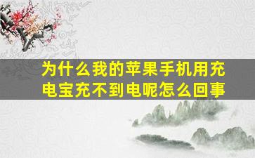 为什么我的苹果手机用充电宝充不到电呢怎么回事