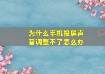 为什么手机投屏声音调整不了怎么办