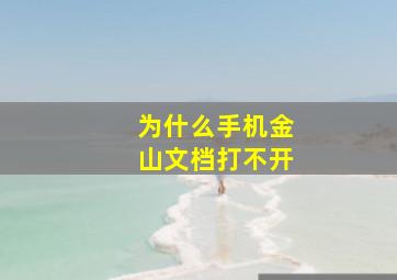 为什么手机金山文档打不开