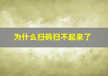 为什么扫码扫不起来了