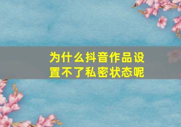 为什么抖音作品设置不了私密状态呢