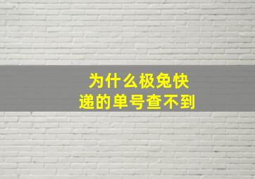 为什么极兔快递的单号查不到