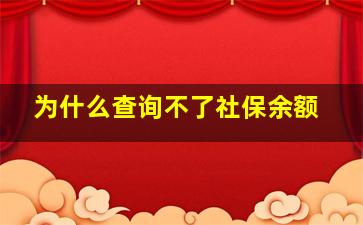 为什么查询不了社保余额