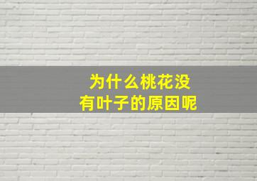 为什么桃花没有叶子的原因呢