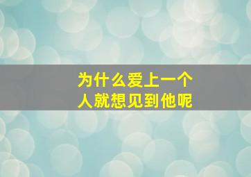 为什么爱上一个人就想见到他呢