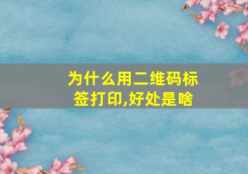 为什么用二维码标签打印,好处是啥