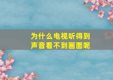 为什么电视听得到声音看不到画面呢