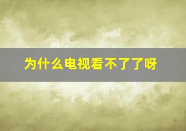 为什么电视看不了了呀